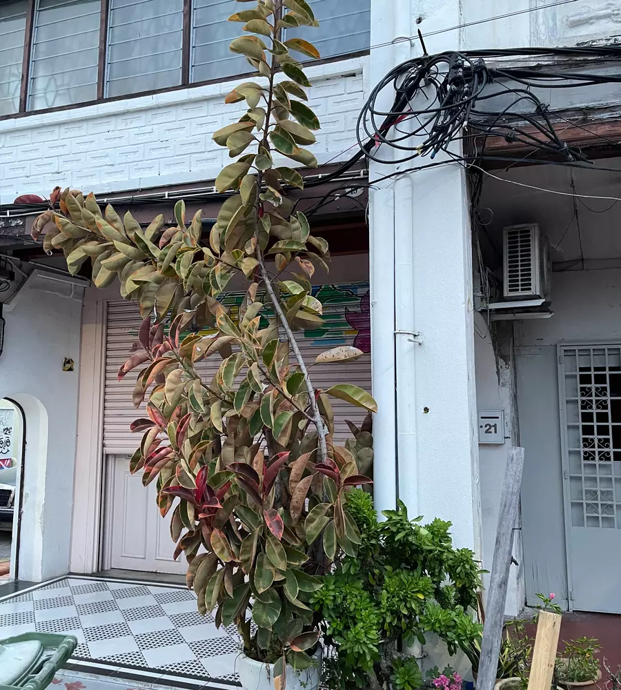 IMG_0495_4_11zon_cropped