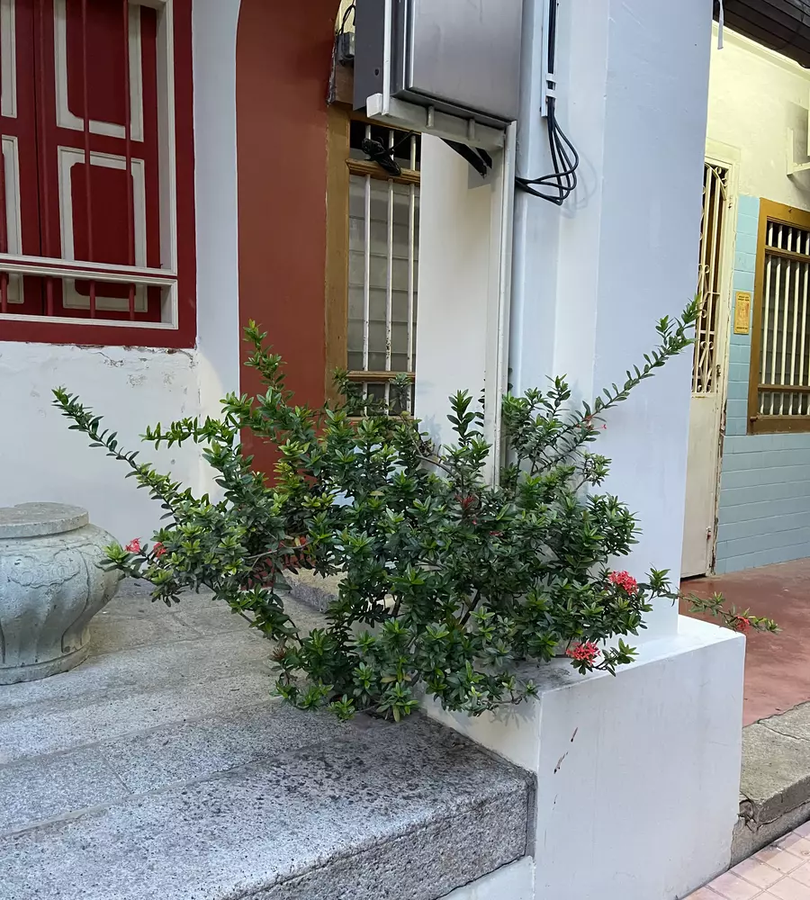 IMG_0499_5_11zon_cropped