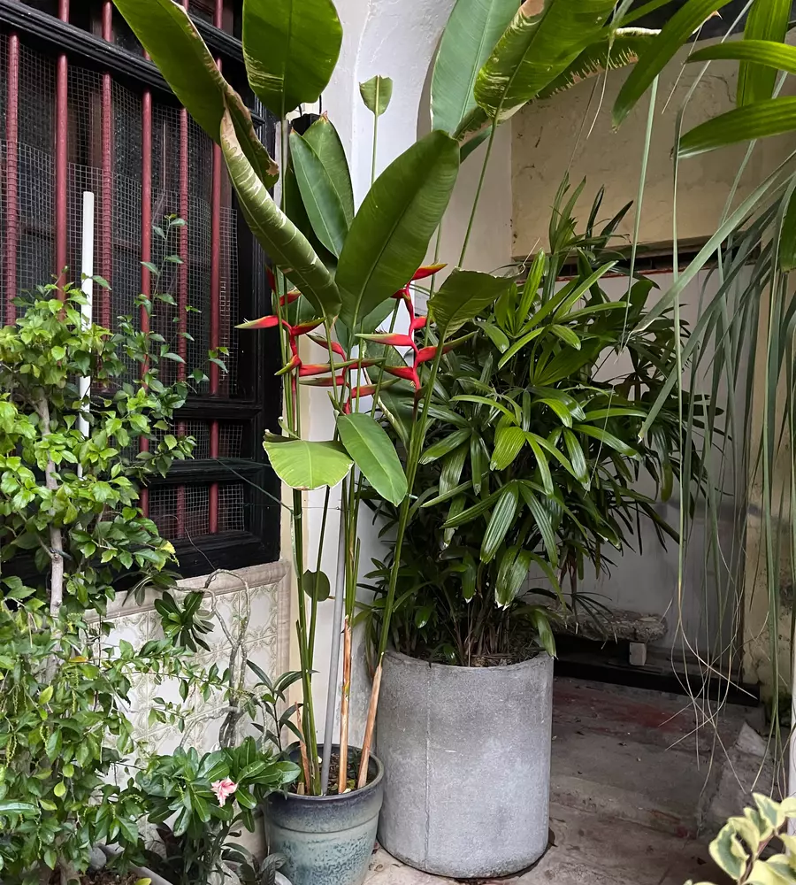 IMG_0510_6_11zon_cropped