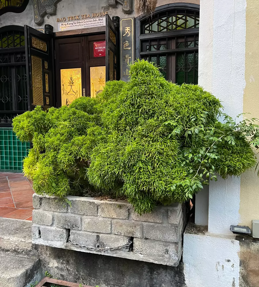 IMG_0517_7_11zon_cropped