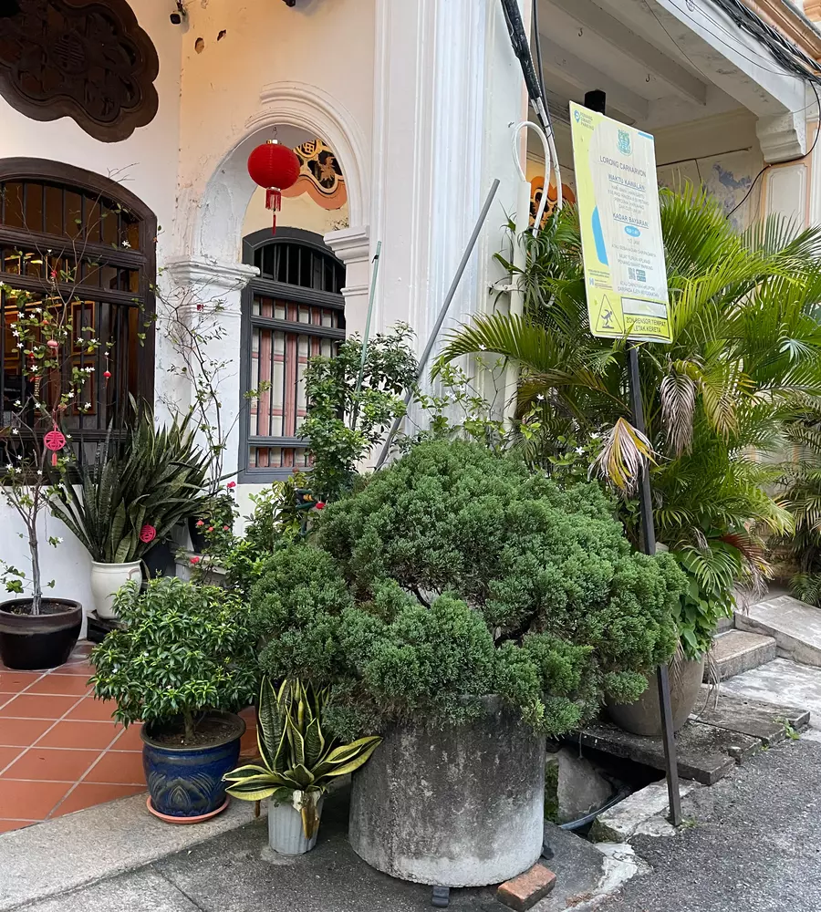 IMG_0521_8_11zon_cropped