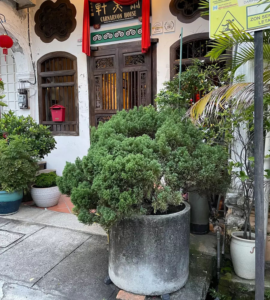 IMG_0522_9_11zon_cropped