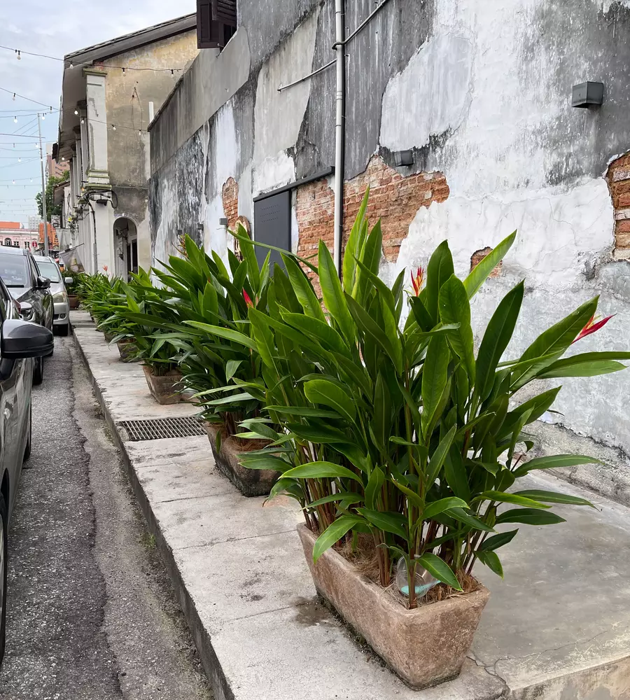 IMG_0564_12_11zon_cropped