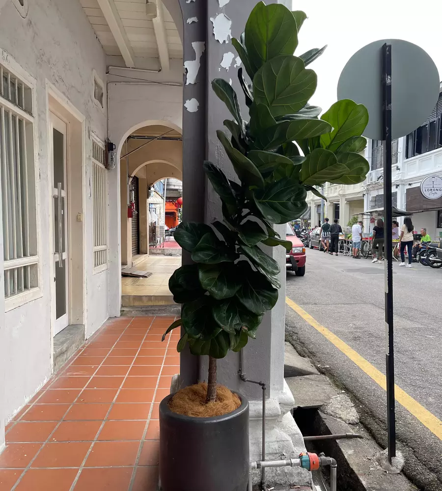 IMG_0574_15_11zon_cropped