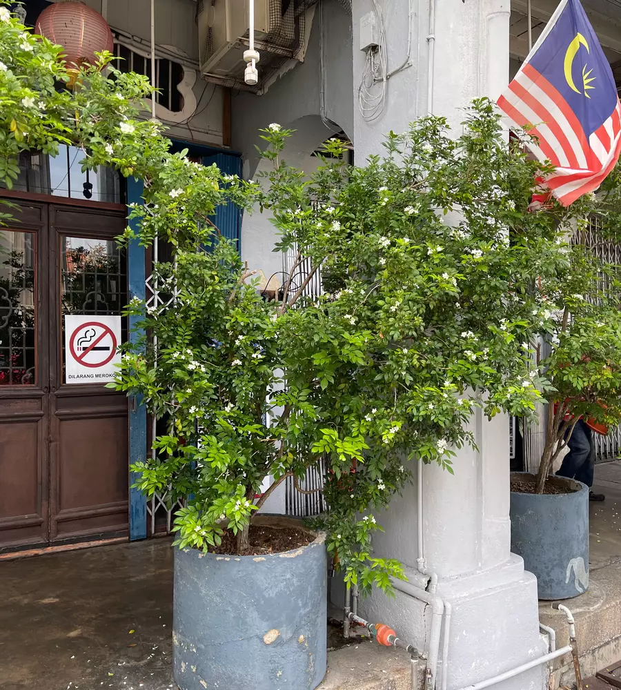 IMG_0583_17_11zon_cropped